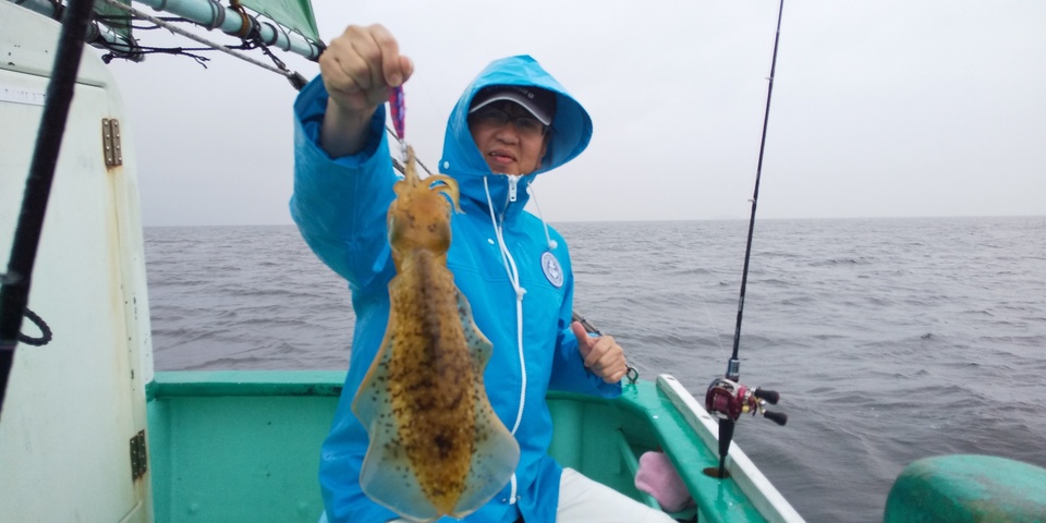 アオリイカの釣果 19年7月15日 彦次郎丸 千葉県 上総湊港 キャスティング釣り船予約