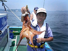 マダコ釣りプラン