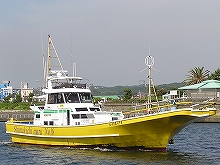 スルメイカ釣りプラン