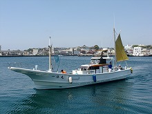 ワラサ・イナダ釣りプラン