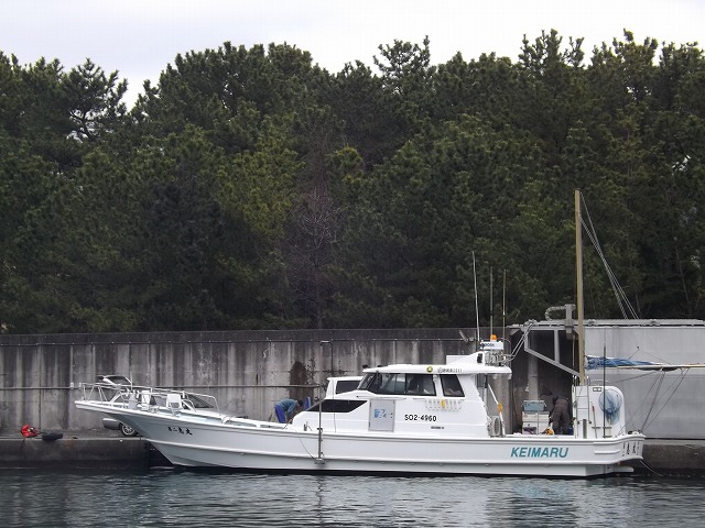 クロマグロのエサ釣りプラン