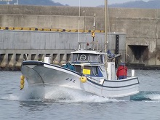 泰平丸 神奈川県 公式船釣り予約 24時間受付 特別割引 ポイント還元 船釣り予約 キャスティング船釣り予約