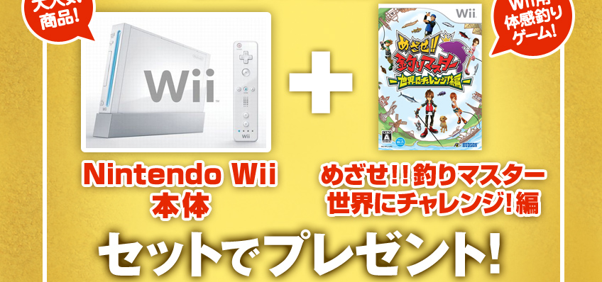 Nintendo WiiȤᤶ!! ޥ򥻥åȤǥץ쥼ȡ
