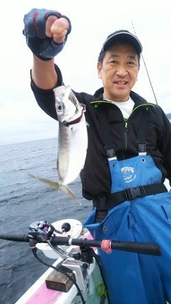 アジの釣果 21年6月30日 東丸 千葉県 保田港 キャスティング釣り船予約