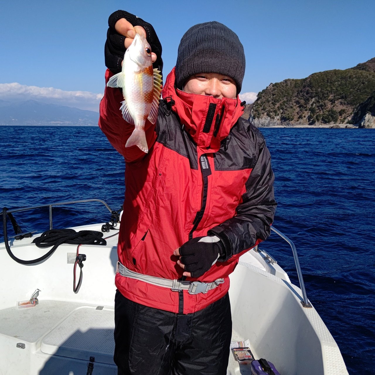 アマダイの釣果 22年1月10日 プラネットマリン 静岡県 スルガマリーナ キャスティング釣り船予約