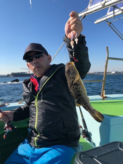 フグ41cm 20匹 の釣果 2018年11月2日 野毛屋釣船店 神奈川 金沢八景平潟 船釣り予約 キャスティング船釣り予約