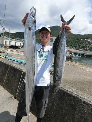 サワラ92cm 4匹 の釣果 19年8月4日 上野渡船 Bluewater 和歌山 大引港 船釣り予約 キャスティング船釣り予約