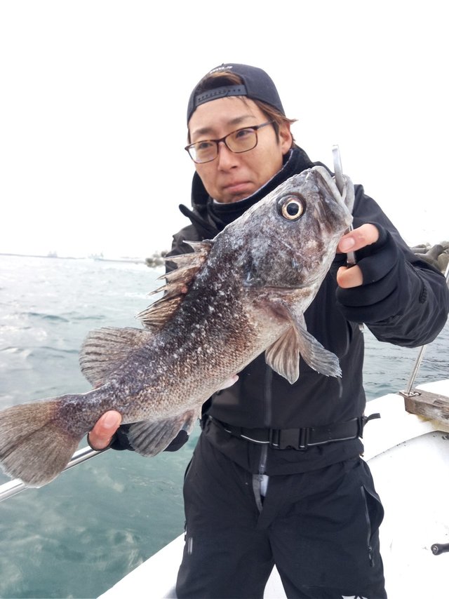 クロソイ52cm！17匹！の釣果｜2020年12月13日｜ジガーズ（福島