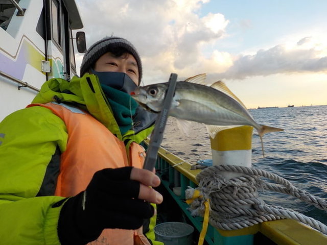 アジ30cm 36匹 の釣果 21年1月8日 打木屋釣船店 神奈川 横浜港新山下 船釣り予約 キャスティング船釣り予約