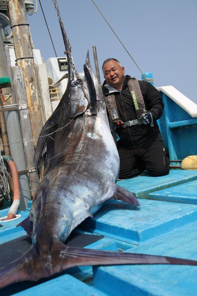 クロカワカジキ の釣果 21年3月5日 山正丸 千葉 大原港 船釣り予約 キャスティング船釣り予約