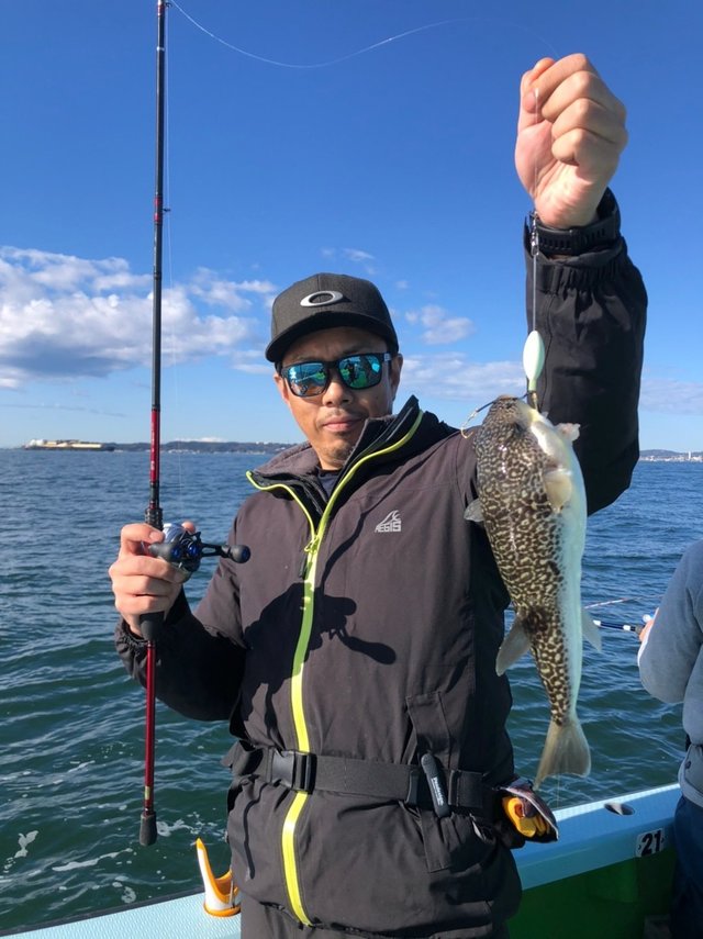 ショウサイフグ38cm 匹 の釣果 21年3月14日 野毛屋釣船店 神奈川 金沢八景平潟 船釣り予約 キャスティング船釣り予約