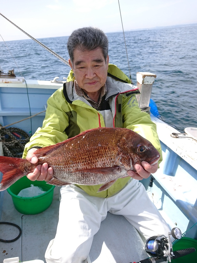 マダイ1 80kg 4匹 の釣果 21年3月29日 又信丸 神奈川 間口漁港 船釣り予約 キャスティング船釣り予約