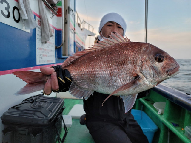 マダイ3.00kg！7匹！の釣果｜2021年4月24日｜義心丸（茨城/鹿嶋旧港
