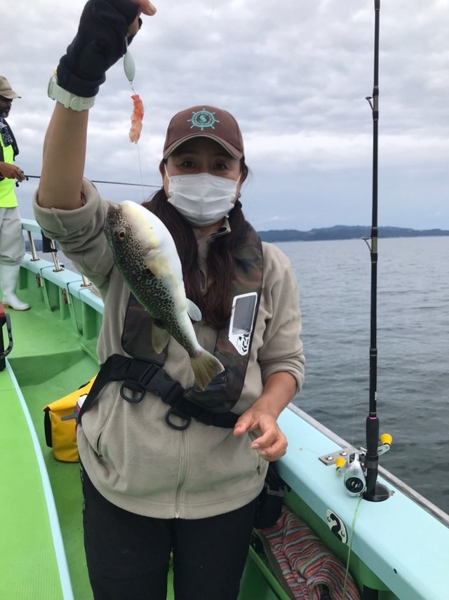 フグ38cm 14匹 の釣果 21年6月27日 野毛屋釣船店 神奈川 金沢八景平潟 船釣り予約 キャスティング船釣り予約