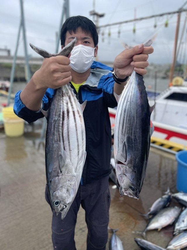 カツオ4 00kg 10匹 の釣果 21年7月11日 日立丸 茨城 日立港第五埠頭 船釣り予約 キャスティング船釣り予約
