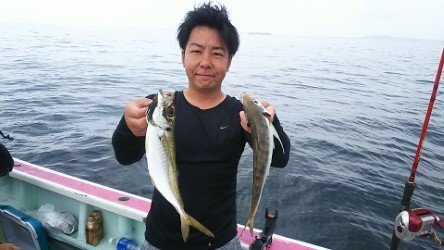 アジ38cm 21匹 の釣果 21年8月29日 東丸 千葉 保田港 船釣り予約 キャスティング船釣り予約