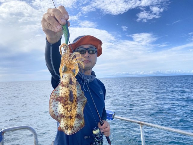 アオリイカ17cm 11匹 の釣果 21年9月10日 なかくに丸 新潟 寺泊港 船釣り予約 キャスティング船釣り予約