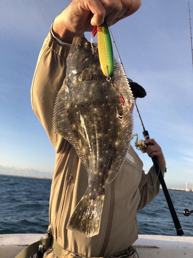 ヒラメ2 kg 8匹 の釣果 21年10月25日 幸栄丸 茨城 鹿嶋旧港 船釣り予約 キャスティング船釣り予約