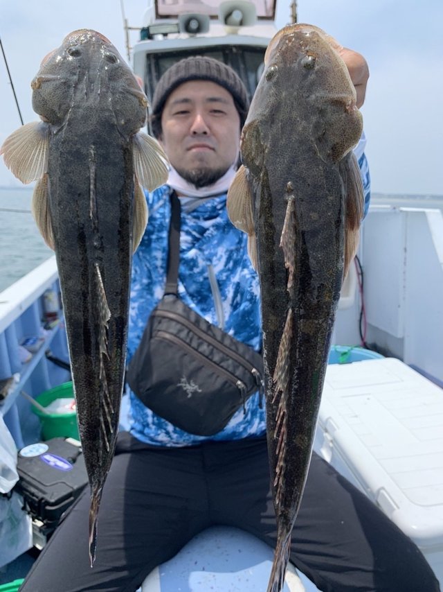 マゴチ50cm 5匹 の釣果 22年6月19日 幸栄丸 茨城 鹿嶋旧港 船釣り予約 キャスティング船釣り予約