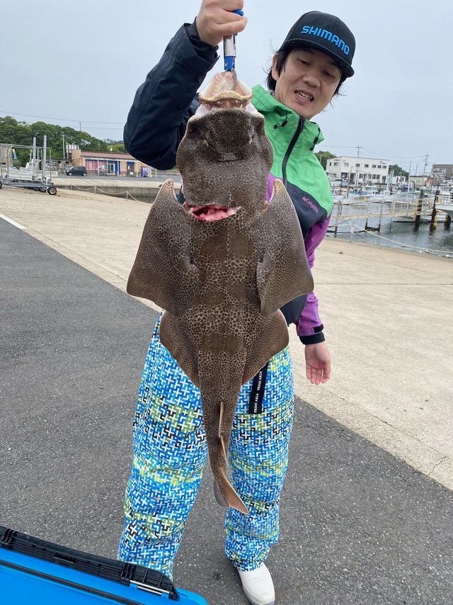 骨董　魚市場の競り札　レア　襤褸　ボロ　魚籠　魚釣　貴重　明治　大正 マゴチ62cm！6匹！の釣果｜2022年6月22日｜大春丸（茨城/鹿嶋
