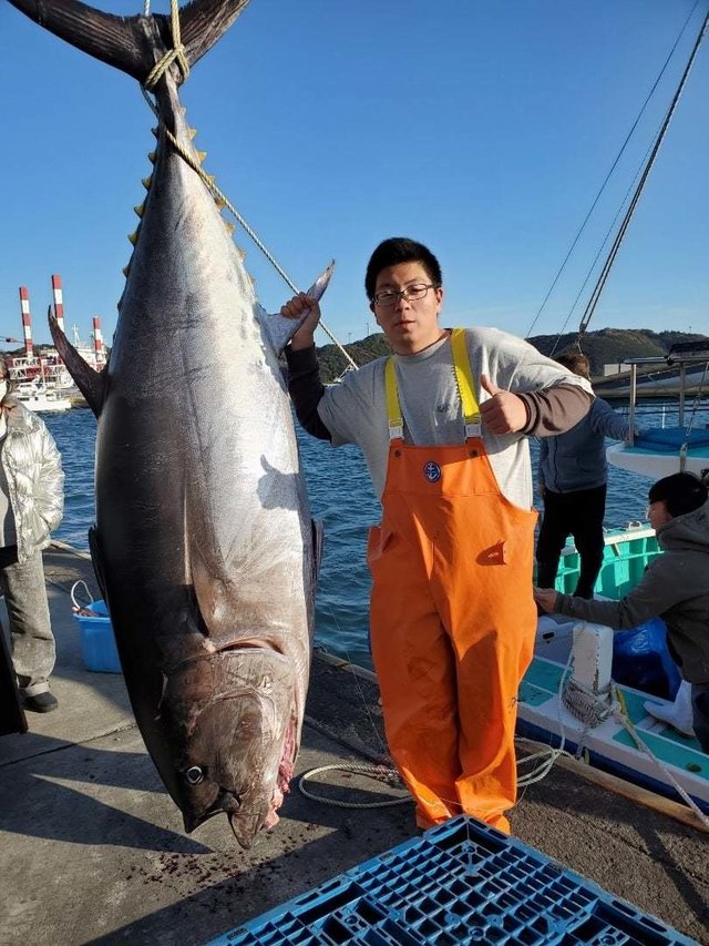 マグロ206.00kg！1匹！の釣果｜2023年2月4日｜菊丸（静岡/下田港）｜船釣り予約｜キャスティング船釣り予約