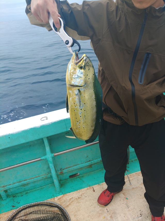 ワラサ70cm！2匹！の釣果｜2023年9月30日｜恵比寿丸（岩手/鬼沢漁港