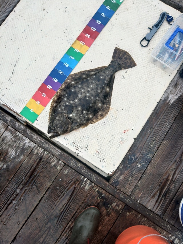 ワラサ70cm！2匹！の釣果｜2023年9月30日｜恵比寿丸（岩手/鬼沢漁港