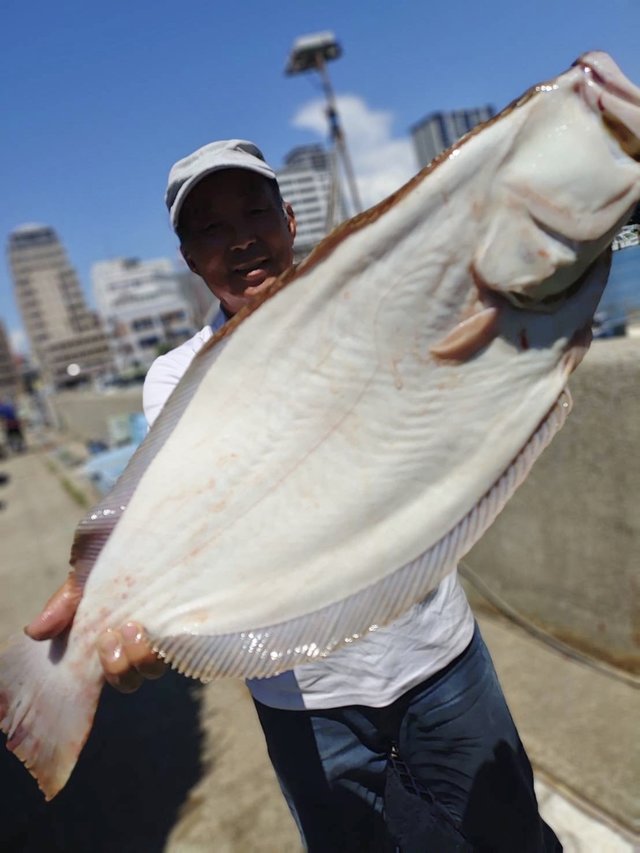 ヒラメ80cm！10匹！の釣果｜2024年8月24日｜釣り船 名田屋（兵庫/明石