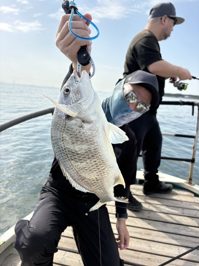 クロダイ46cm！16匹！の釣果｜2026年4月20日｜林遊船（千葉/江戸川放