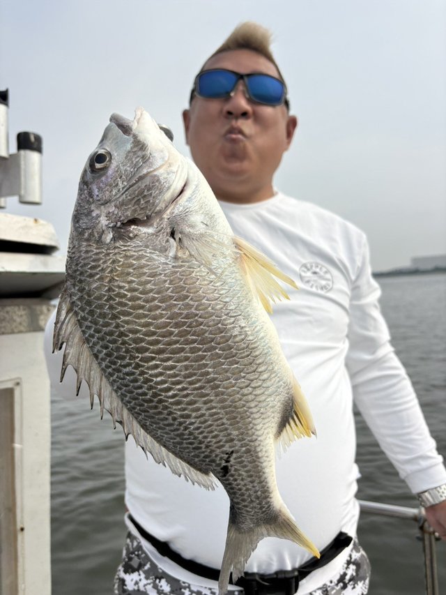 クロダイ47cm！20匹！の釣果｜2026年6月14日｜林遊船（千葉/江戸川放