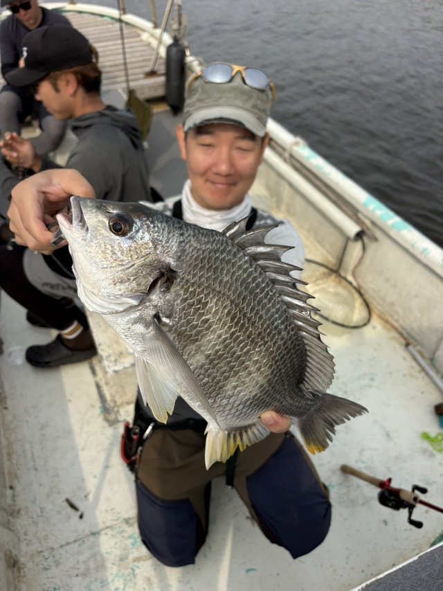 クロダイ47cm！20匹！の釣果｜2026年6月14日｜林遊船（千葉/江戸川放