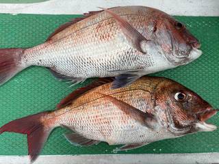 釣果写真