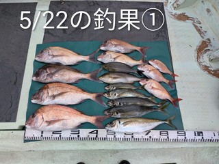 釣果写真