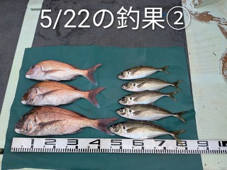 釣果写真