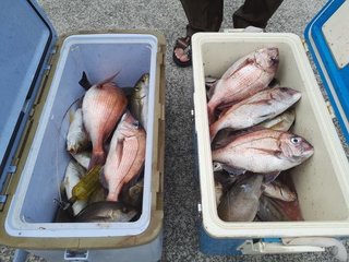 釣果写真