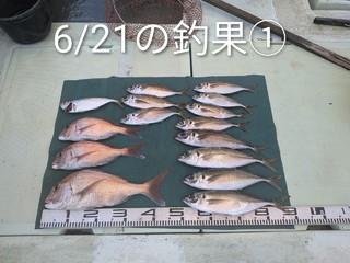 釣果写真