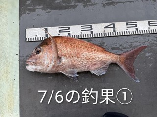 釣果写真