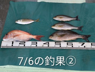 釣果写真