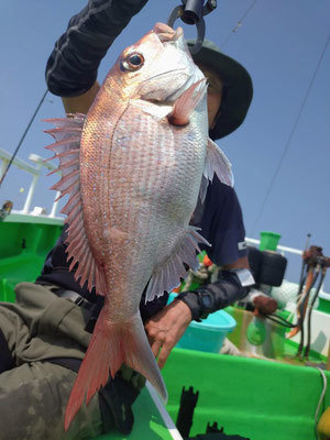 釣果写真
