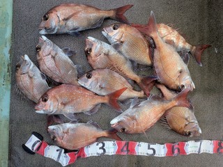 釣果写真
