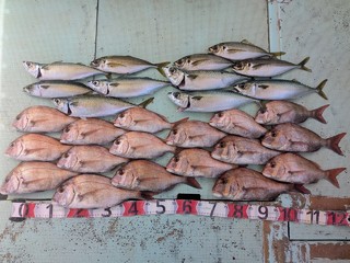 釣果写真