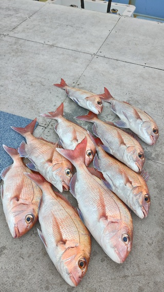 釣果写真