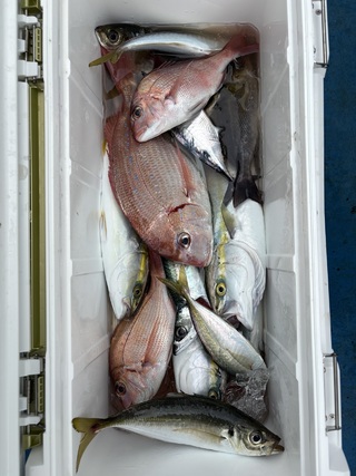 釣果写真