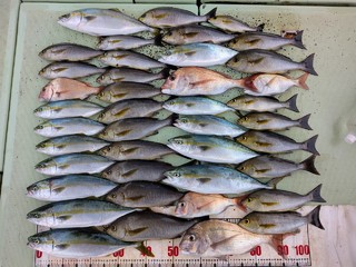 釣果写真