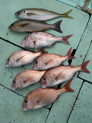 釣果写真