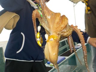 釣果写真