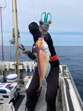 釣果写真