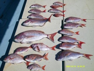 釣果写真