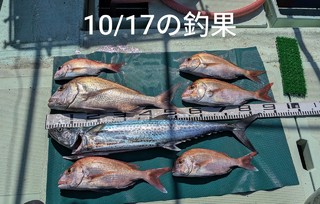 釣果写真
