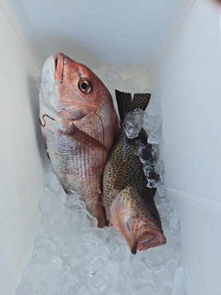釣果写真